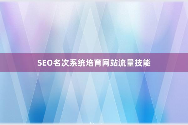 SEO名次系统培育网站流量技能
